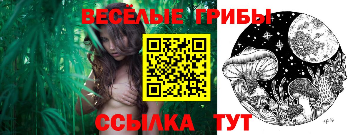 Вольск  Псилоцибиновые грибы мухоморы  сколько стоит  Вход с VPN  Псилоцибиновые грибы Cubensis 